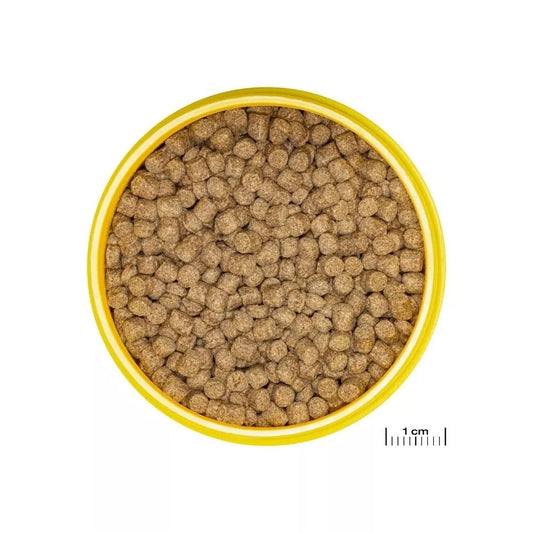 JBL ProNovo Lotl Grano M pašaras aksolotliams 250 ml