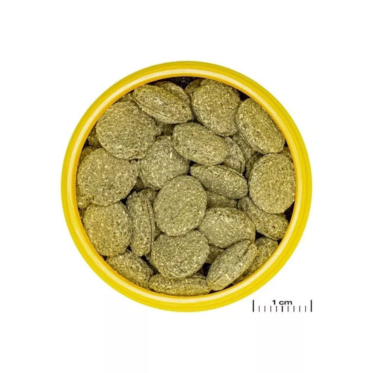 JBL ProNovo Pleco Wafer M pašaras žuvims 250 ml