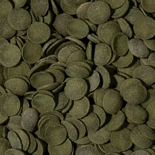Tropical Green Algae Wafers pašaras dugninėms žuvims 1000 ml