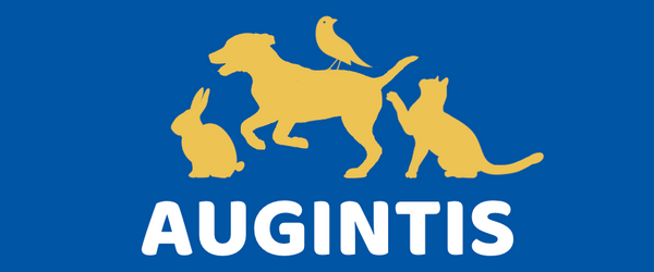 Augintis
