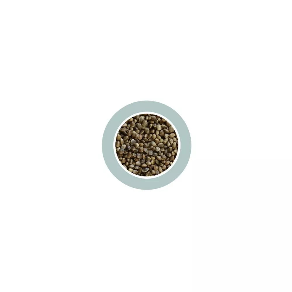 Canapuccia Small Hampseed kanapių sėklos 850 g