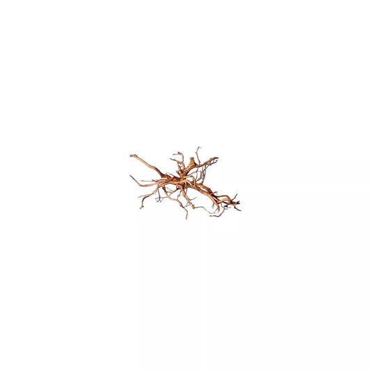 Dekoracija akvariumui šaka 10-30 cm, 10 kg