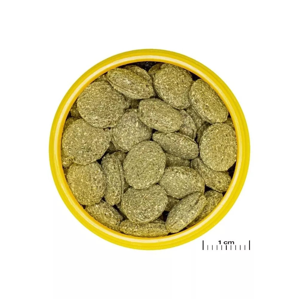 JBL ProNovo Pleco Wafer M pašaras žuvims 100 ml