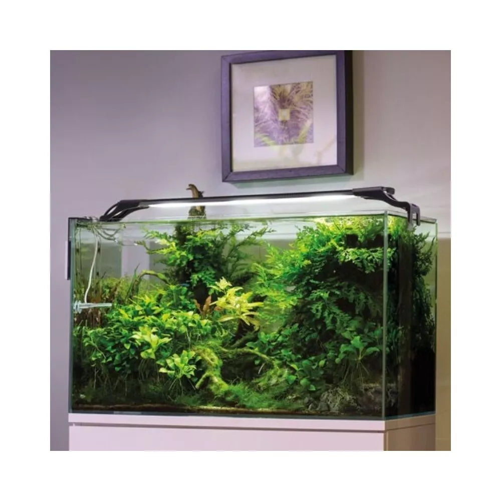 Leddy Slim Plant, 36 W, 100-127 cm, baltas