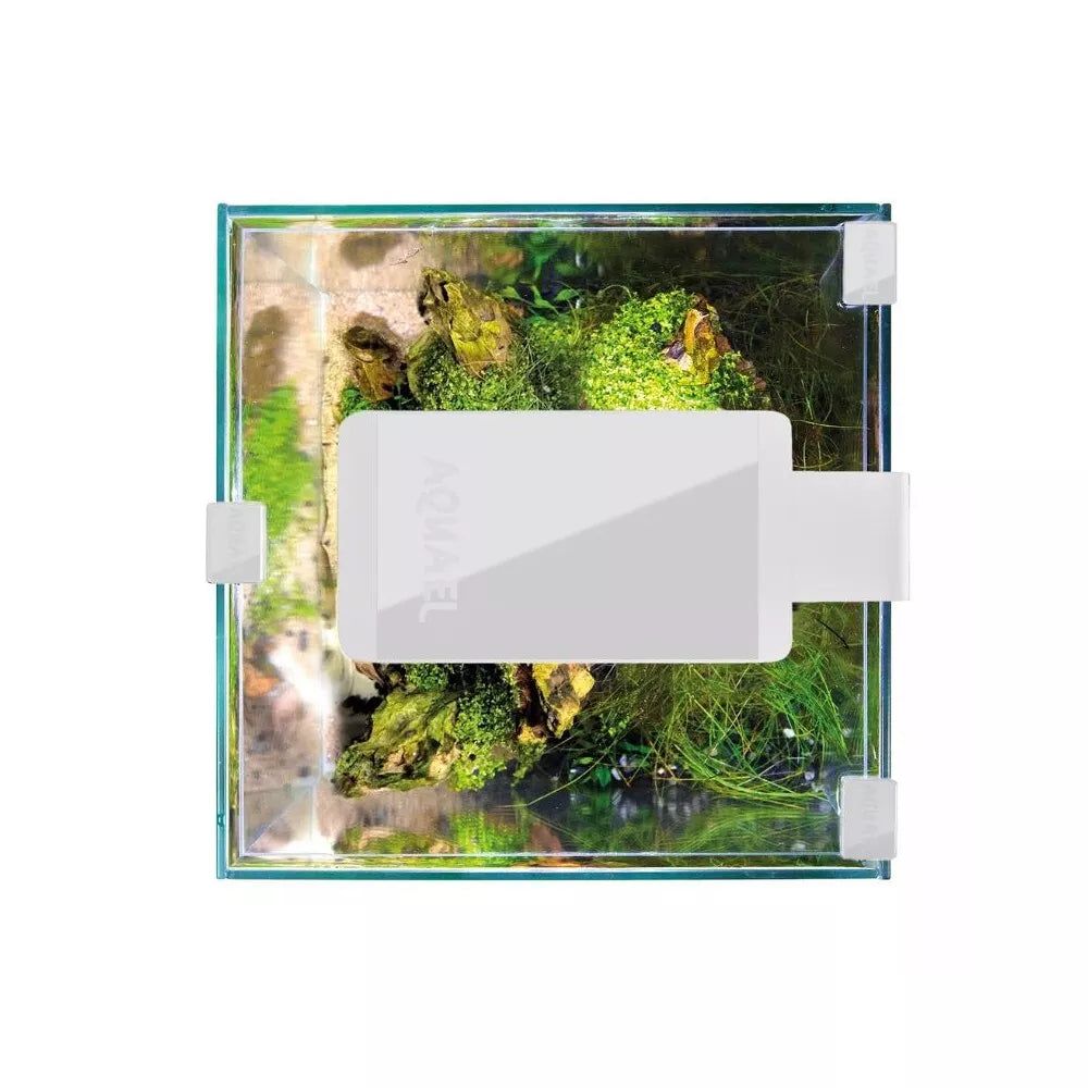 Leddy Smart 4,8 W Plant šviestuvas (baltas)