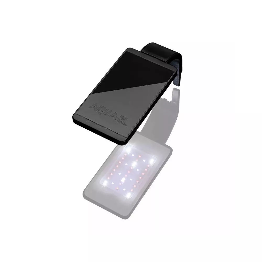 Leddy Smart 4,8 W Plant šviestuvas (juodas)