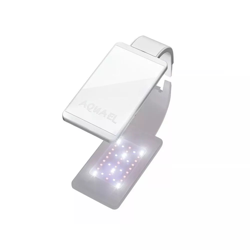 Leddy Smart 4,8 W Sunny šviestuvas (baltas)
