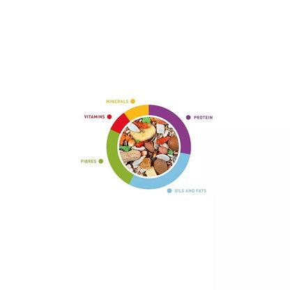 Lesalas didžiosioms papūgoms (amazonėms, žako, kakadu, aroms) Grandmix Pappagalli 2x600 g