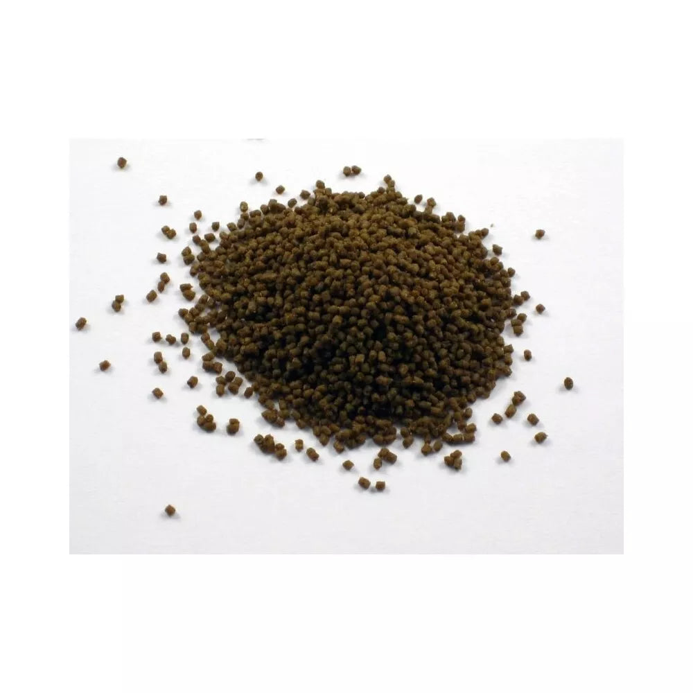 Pašaras žuvims Dr. Bassleer Biofish Food GSE/Moringa L, 60 g