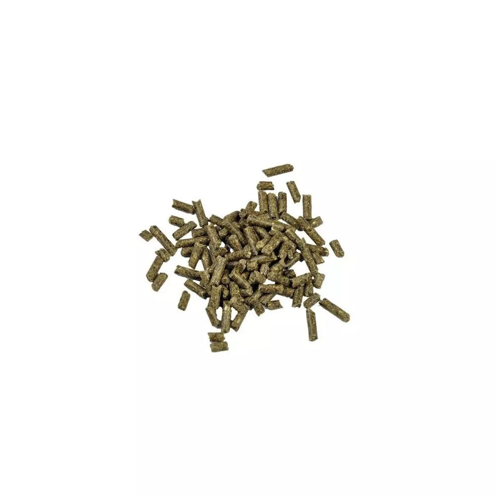 Pašaras žuvims Dr. Bassleer Biofish Food Shrimp Sticks Garlic, 60 g