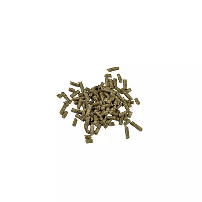 Pašaras žuvims Dr. Bassleer Biofish Food Shrimp Sticks Garlic, 60 g
