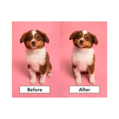 Pet Teezer plaukų šepetys gyvūnams Puppy Brush, žalias