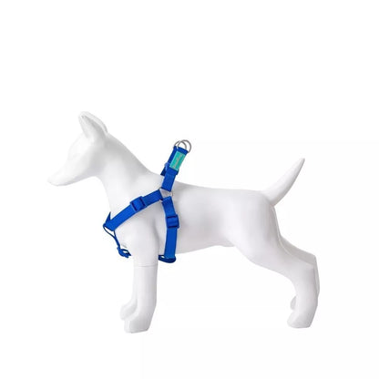 Petnešos Basic Nylon A-Type, mėlynos, 20 mm x 51-70 cm