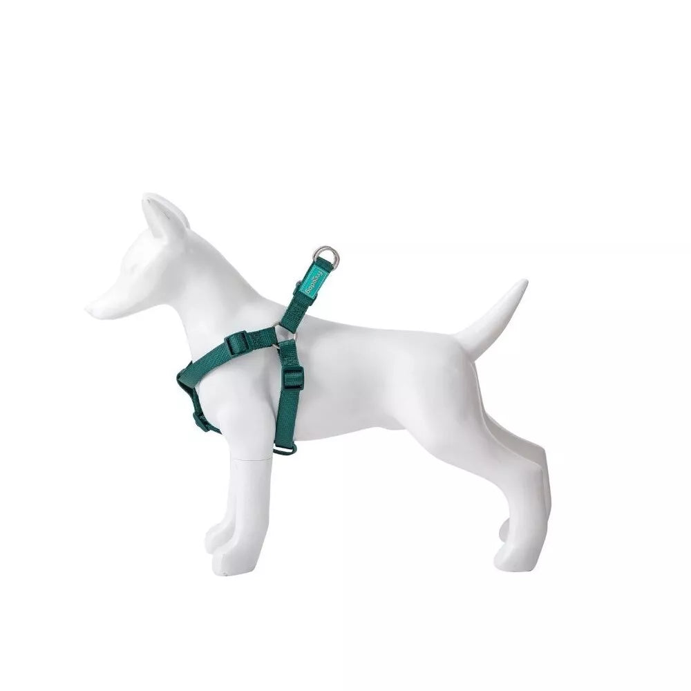 Petnešos Basic Nylon A-Type, žalios, 15 mm x 30-50 cm