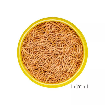 ProNovo Betta Insect Stick S pašaras Betta žuvims (gaideliams) 100 ml
