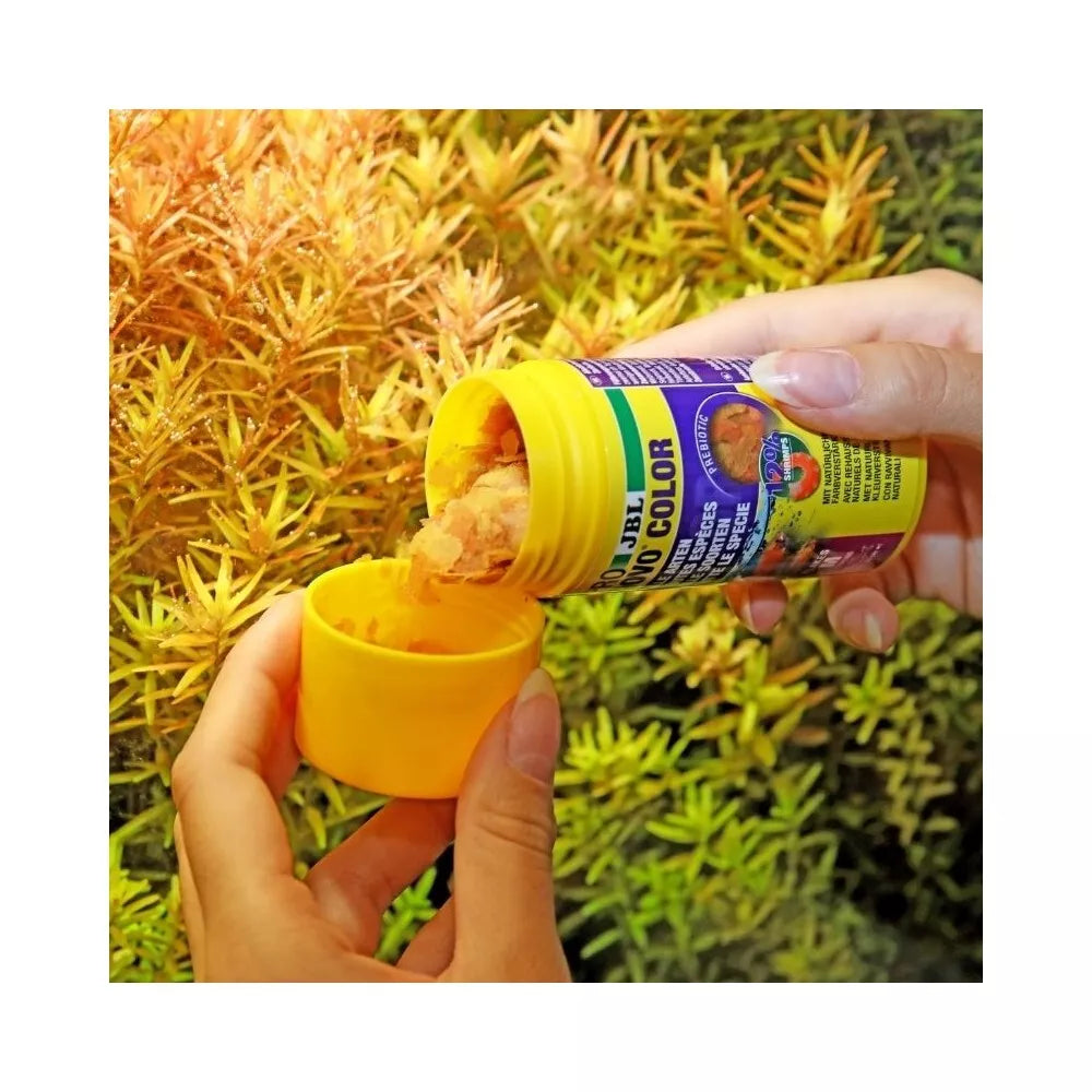 ProNovo Color Flakes M universalus pašaras žuvims 100 ml