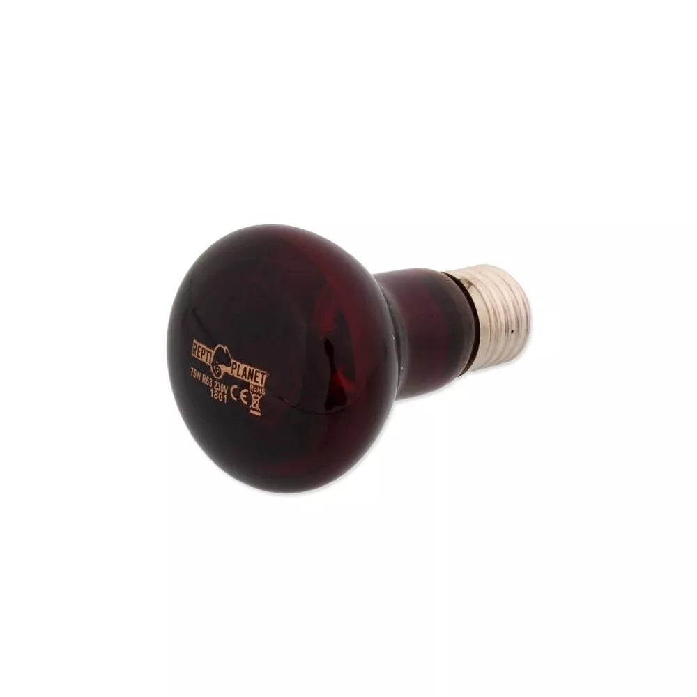 Repti Planet infraredinė lempa 75 W