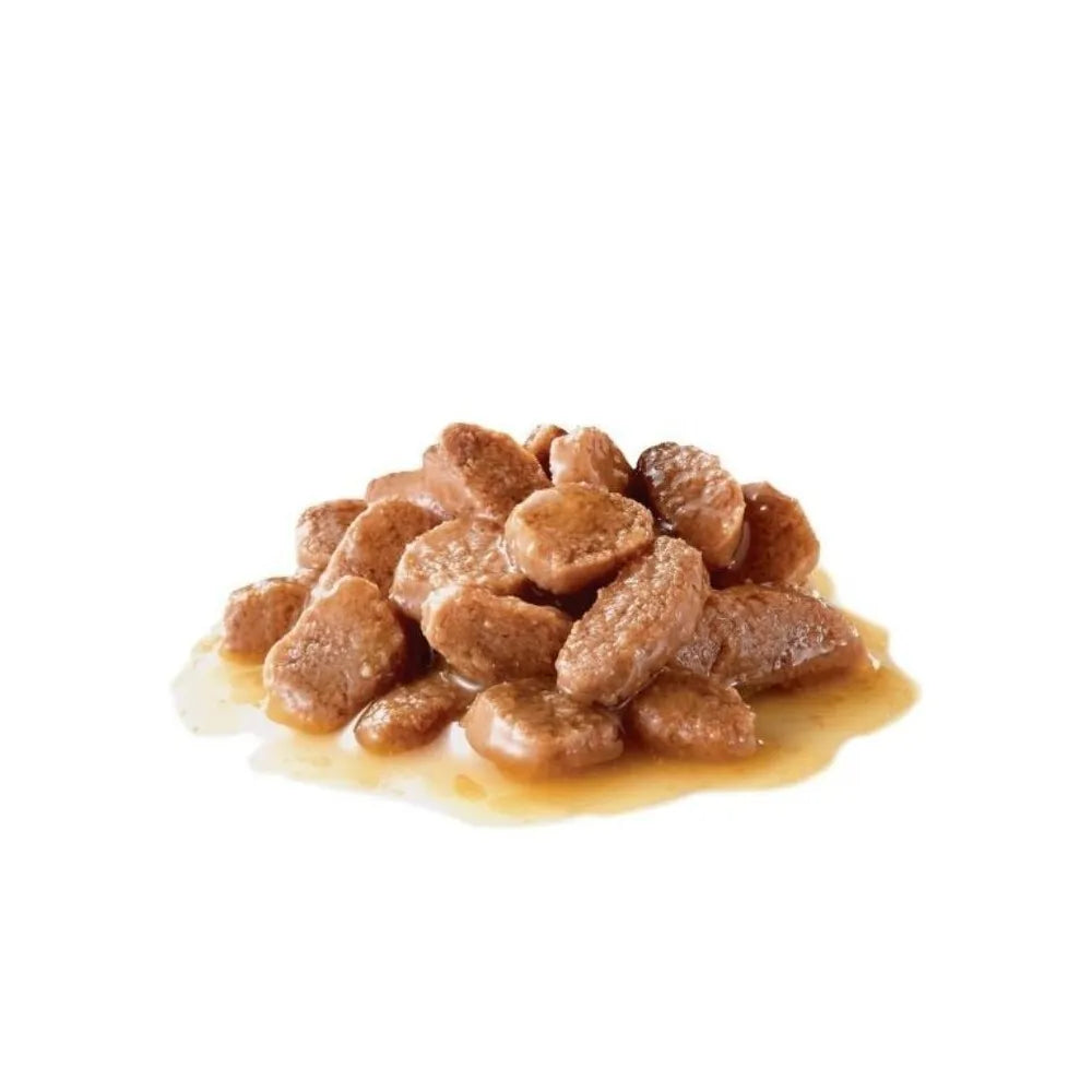 Royal Canin FHN Sterilised in Gravy konservuotas pašaras sterilizuotoms katėms 85 g