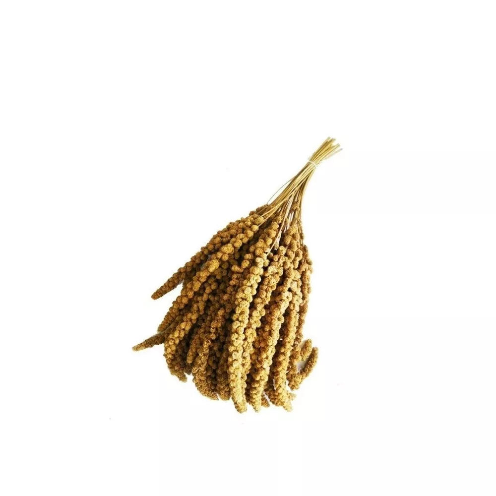 Sorų kekės paukščiams Panico in Spiga 1 kg