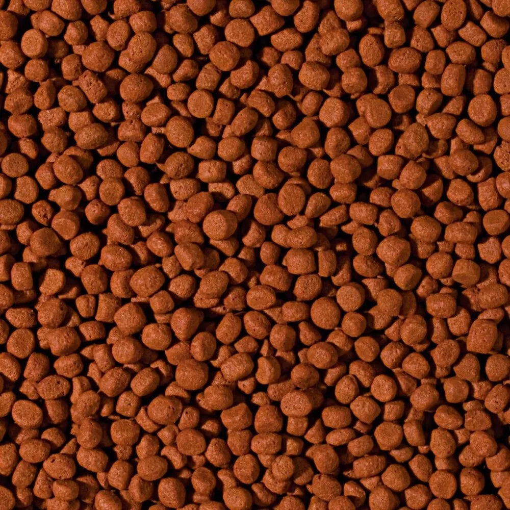 Tropical Cichlid Carnivore Medium Pellet granuliuotas maistas mėsėdžiams ciklidams 1000 ml