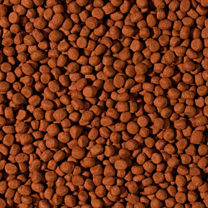 Tropical Cichlid Carnivore Medium Pellet granuliuotas maistas mėsėdžiams ciklidams 1000 ml