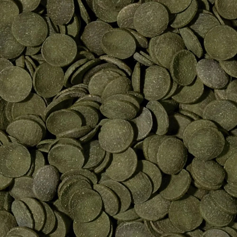 Tropical Green Algae Wafers pašaras dugninėms žuvims 1000 ml