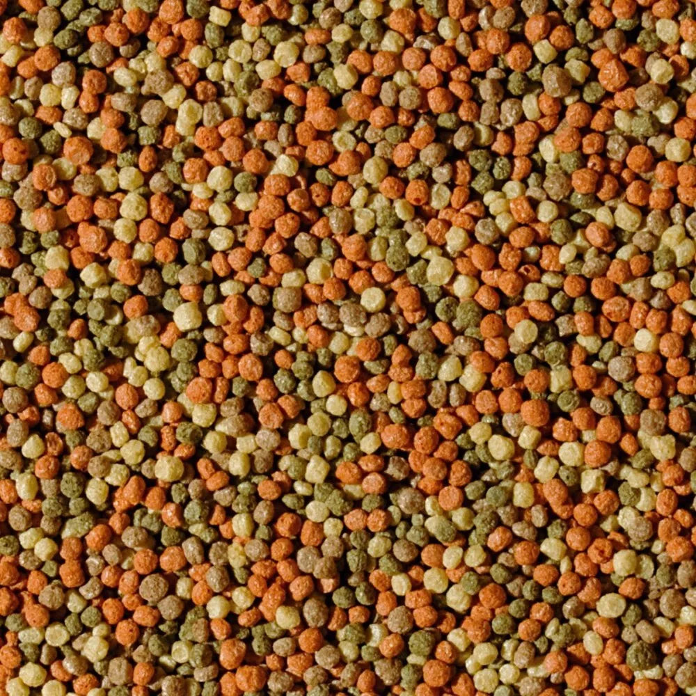 Tropical Pond Pellet Mix S maistas tvenkinių žuvims 1000 ml